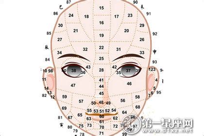 歲數面相年齡|【面相年齡】一窺你的面相年齡：用九執流年法、面相學，瞭解你。